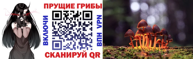 Псилоцибиновые грибы MAGIC MUSHROOMS  Могоча 