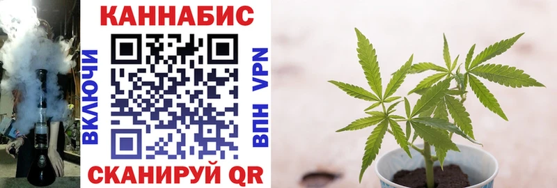 дарк нет как зайти Могоча Марихуана VHQ